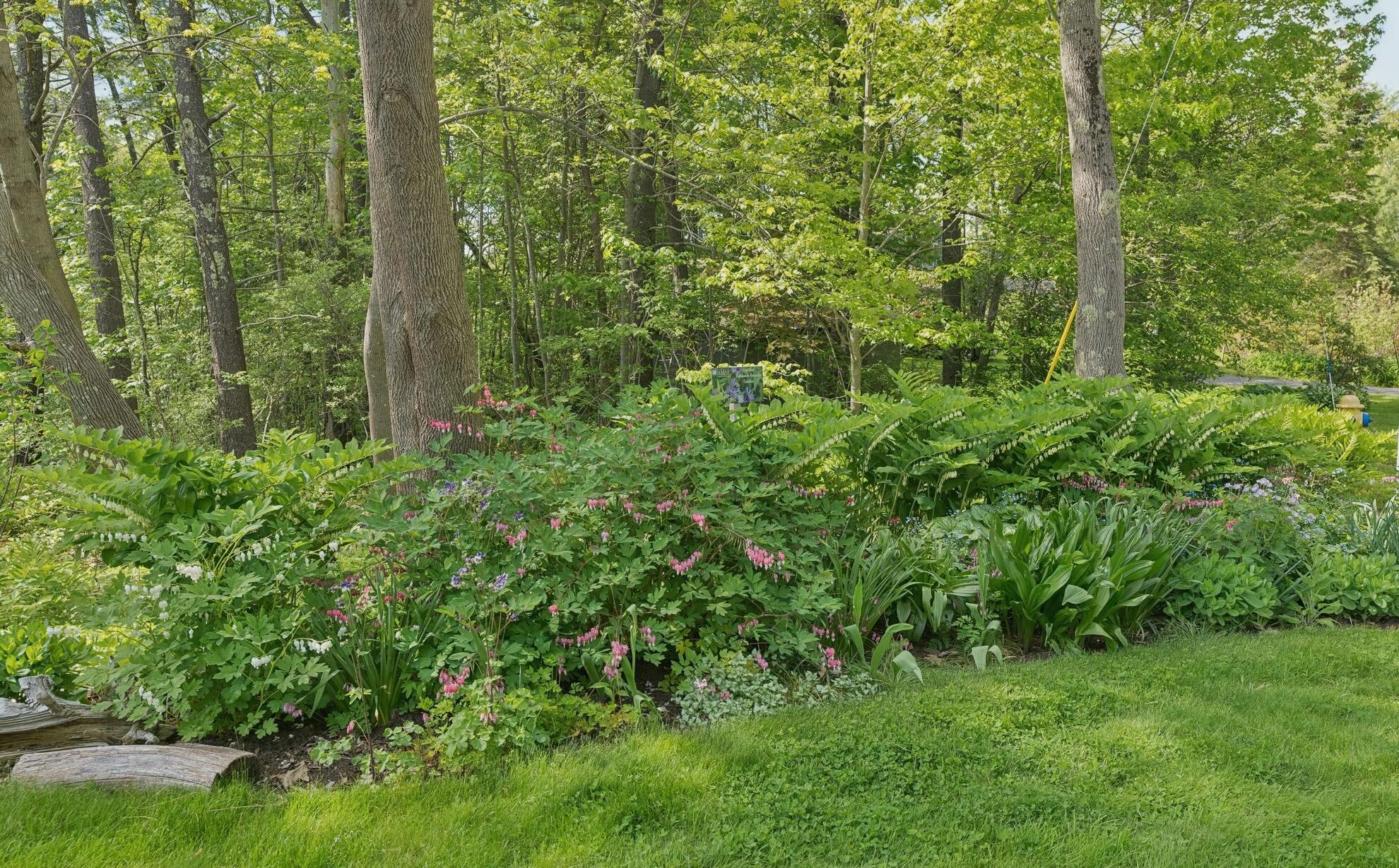 401 Princes Point Road Yarmouth, ME 04096 - Photo 42 of 47 DSC05006