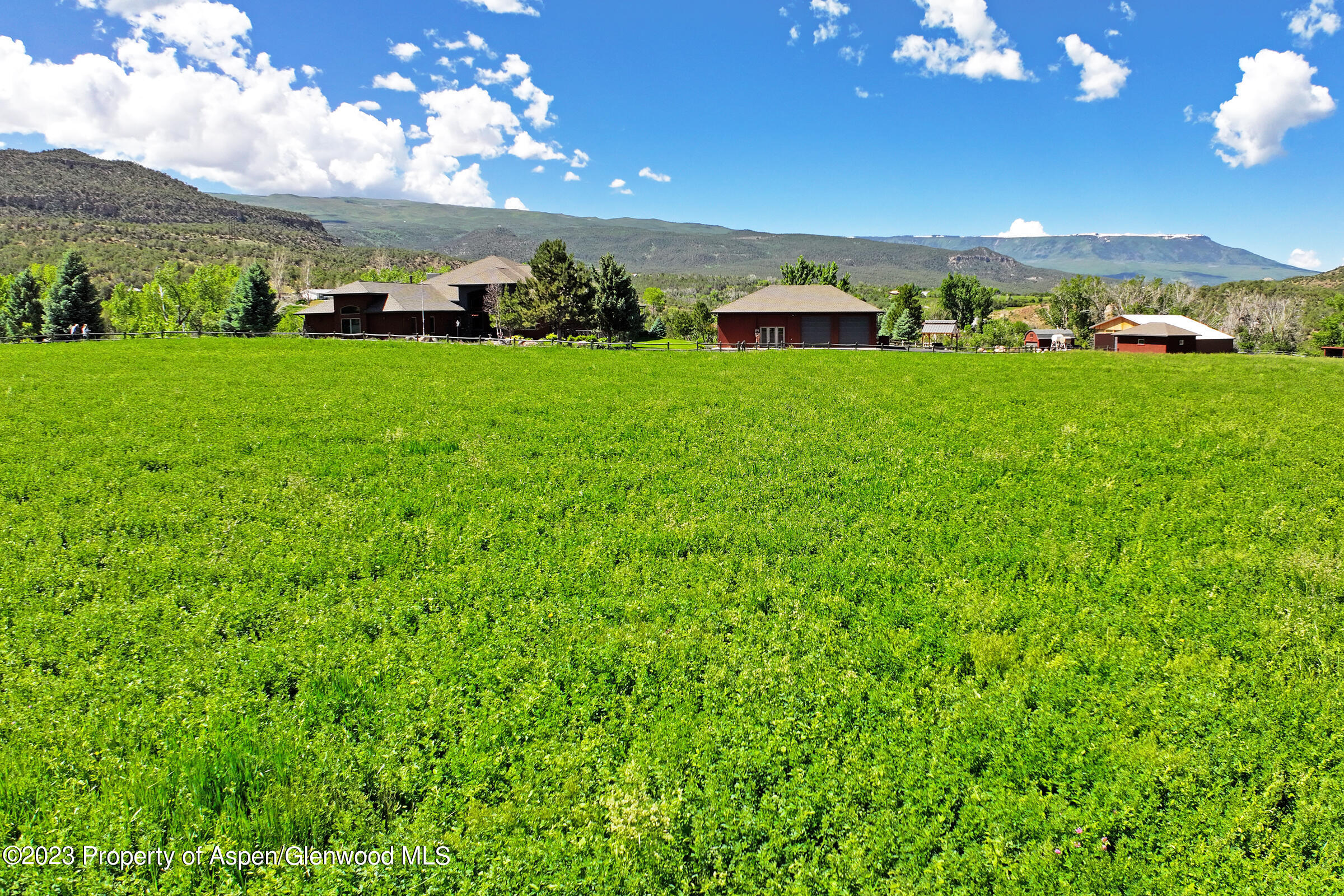52962 KE Road Molina, CO 81646 - Photo 43 of 46 a view of a house with a big yard