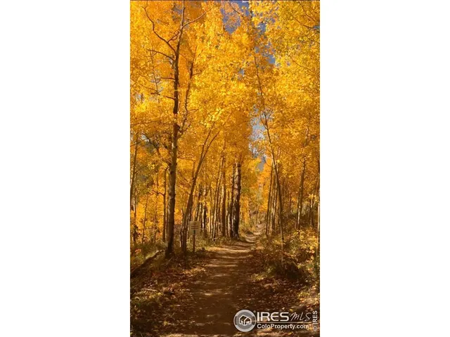 a patio with wooden table and chairs