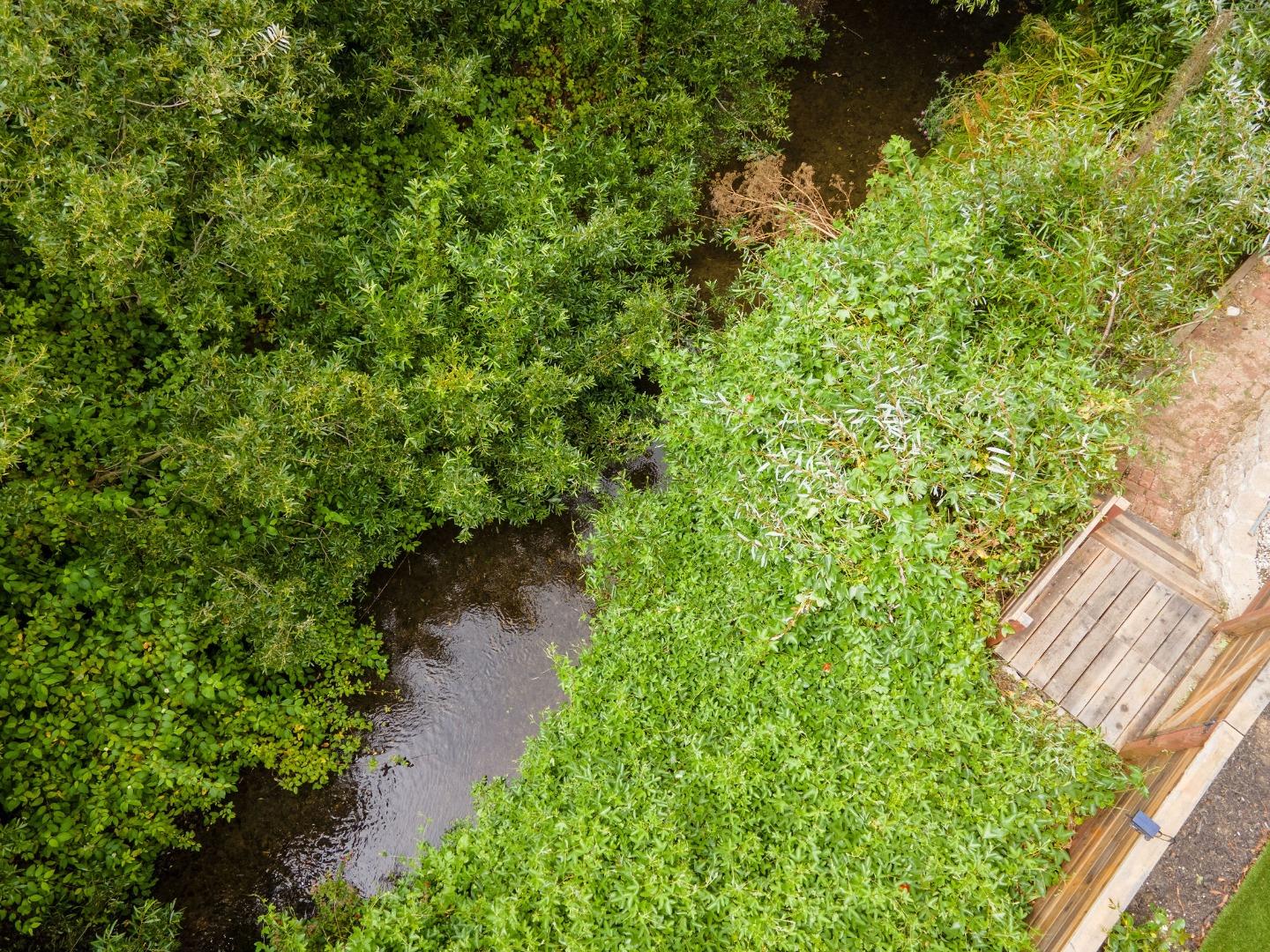 1460 Flores Drive Pacifica, CA 94044 - Photo 67 of 69 a backyard of a house with lots of green space