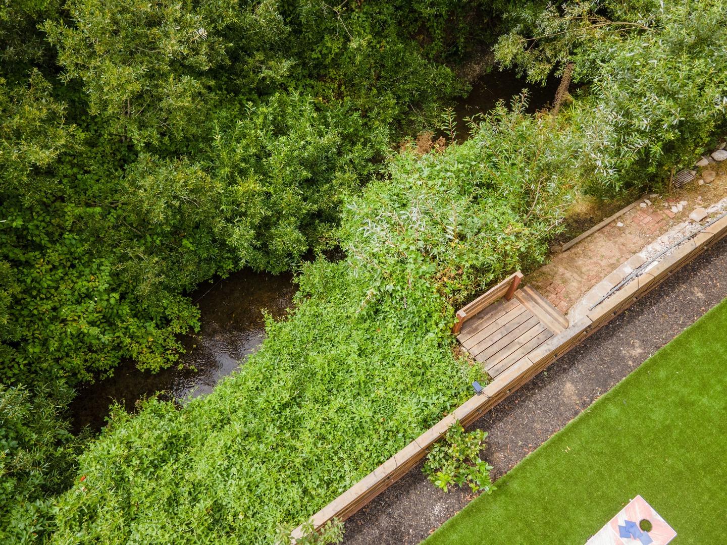 1460 Flores Drive Pacifica, CA 94044 - Photo 68 of 69 a view of a yard with potted plants