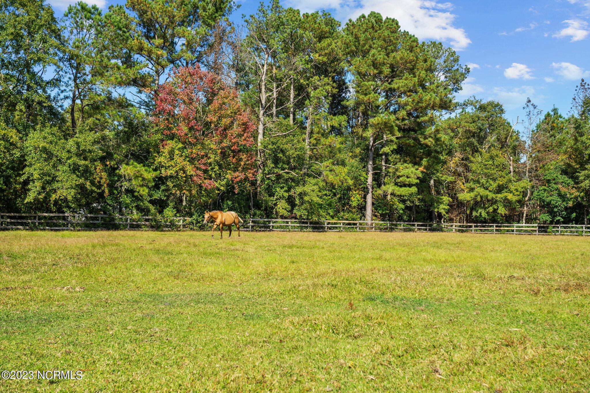 182 Huffmantown Road Richlands, NC 28574 - Photo 27 of 76 24-web-or-mls-DSC08727