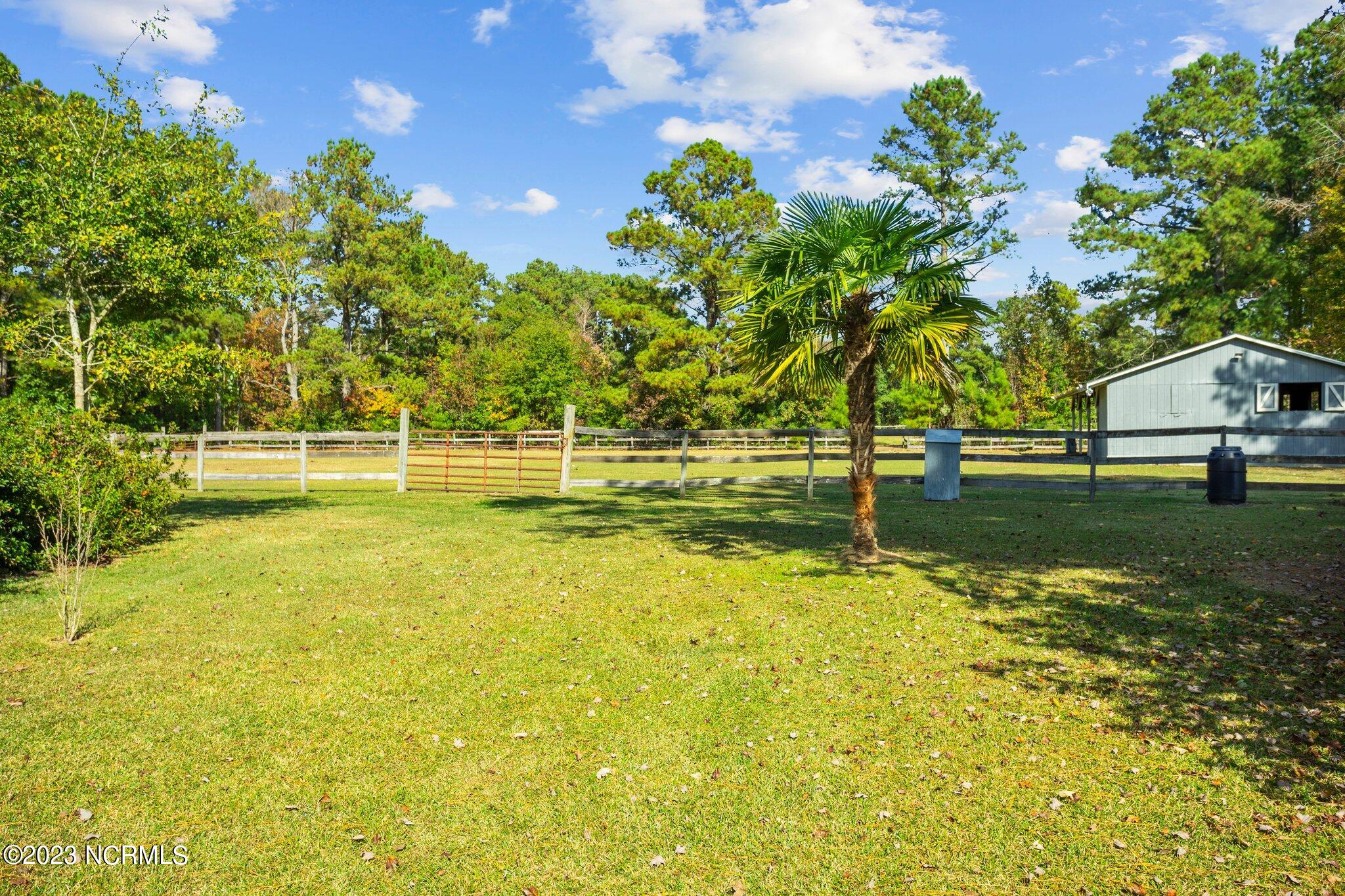 182 Huffmantown Road Richlands, NC 28574 - Photo 32 of 76 30-web-or-mls-DSC08773
