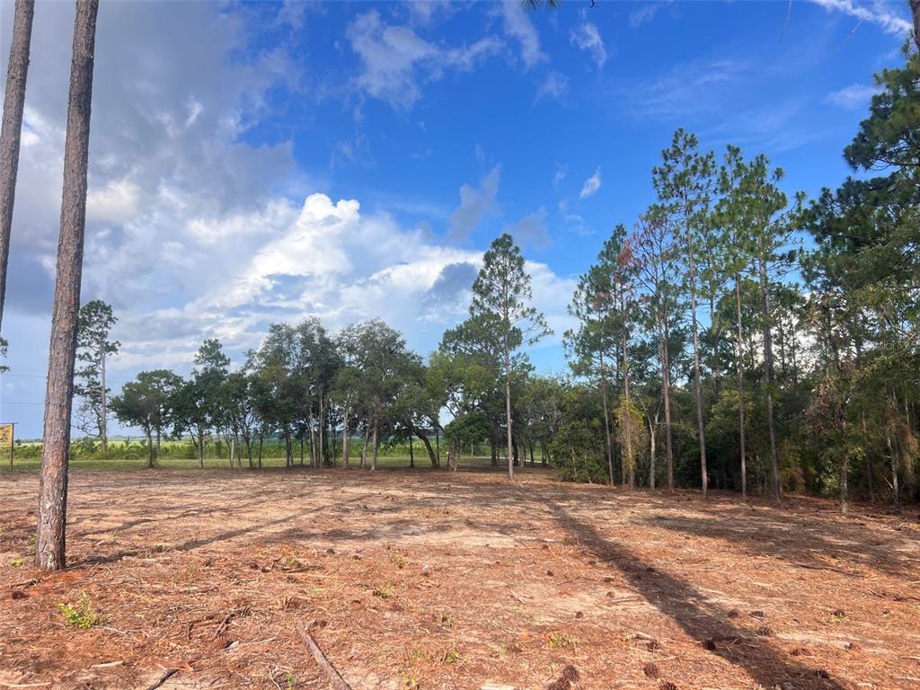 Levy Street Williston, FL 32696 - Photo 16 of 26