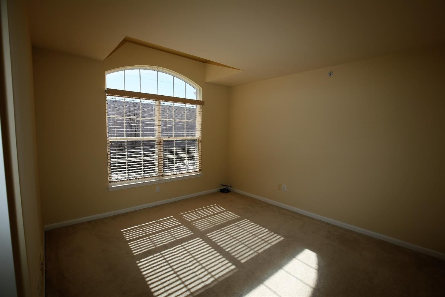 3127 Asher Road Ann Arbor, MI 48104 - Photo 26 of 40 Photo 26