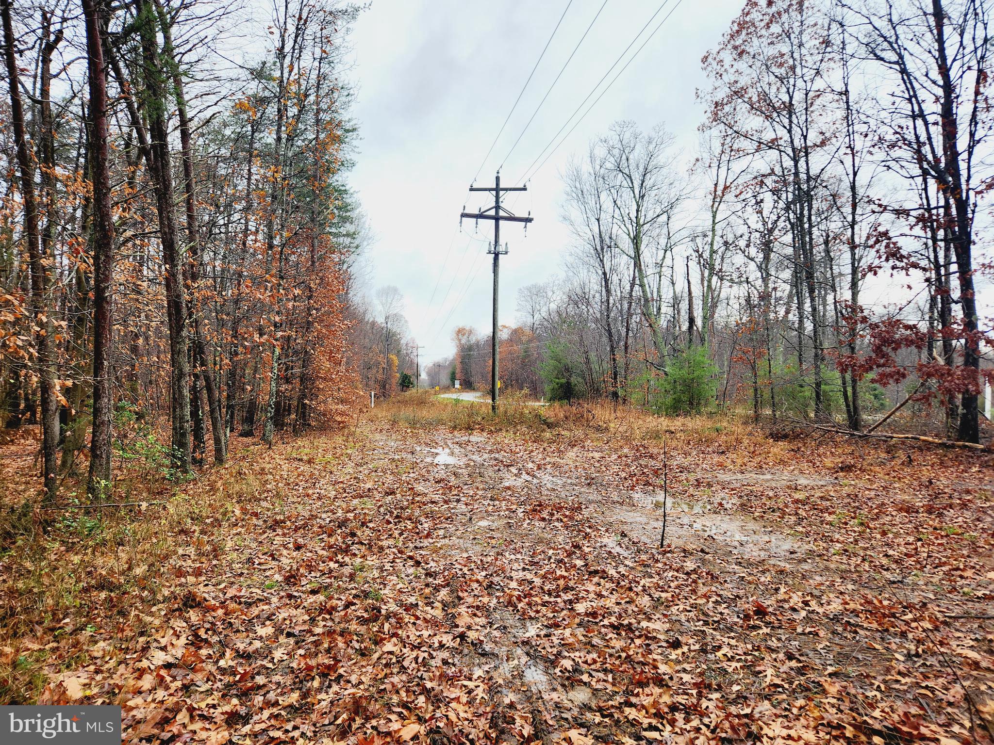 Lot 1 Caledon Road King George, VA 22485 - Photo 6 of 19 Gallery Image 6