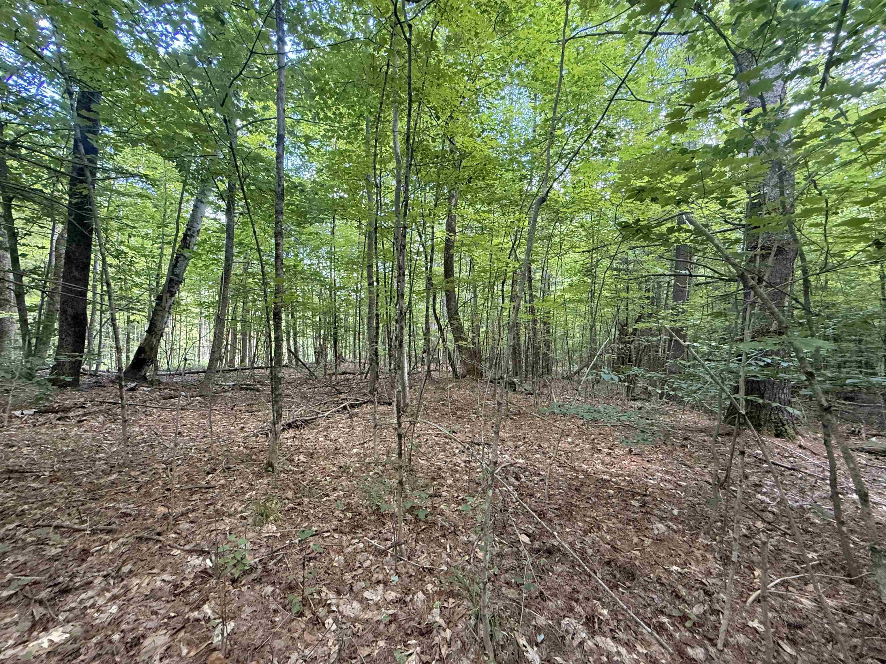 115 Forbes Mountain Road, Unit 3 Danbury, NH 03230 - Photo 12 of 18 Gallery Image 12