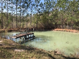 2478 Luke Rivers Road McIntosh, AL 36553 - Photo 18 of 22 Pond