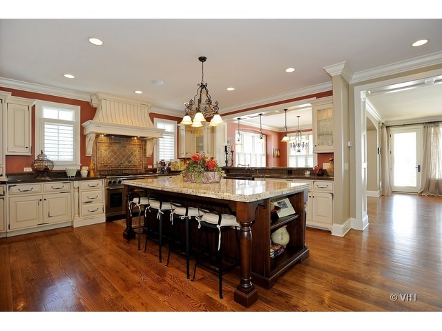 826 West Bauer Road Naperville, IL 60563 - Photo 3 of 25