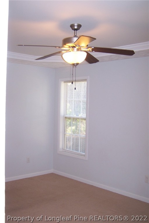 4733 Crystobal Road Fayetteville, NC 28311 - Photo 23 of 46 Gallery Image 23