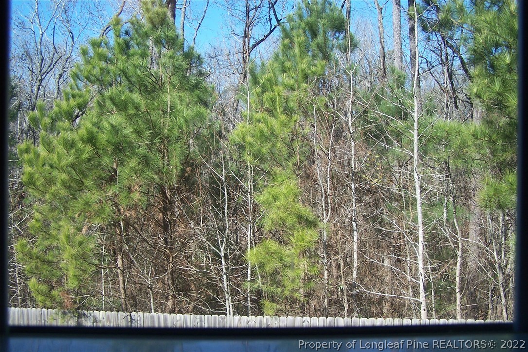 4733 Crystobal Road Fayetteville, NC 28311 - Photo 45 of 46 Gallery Image 45