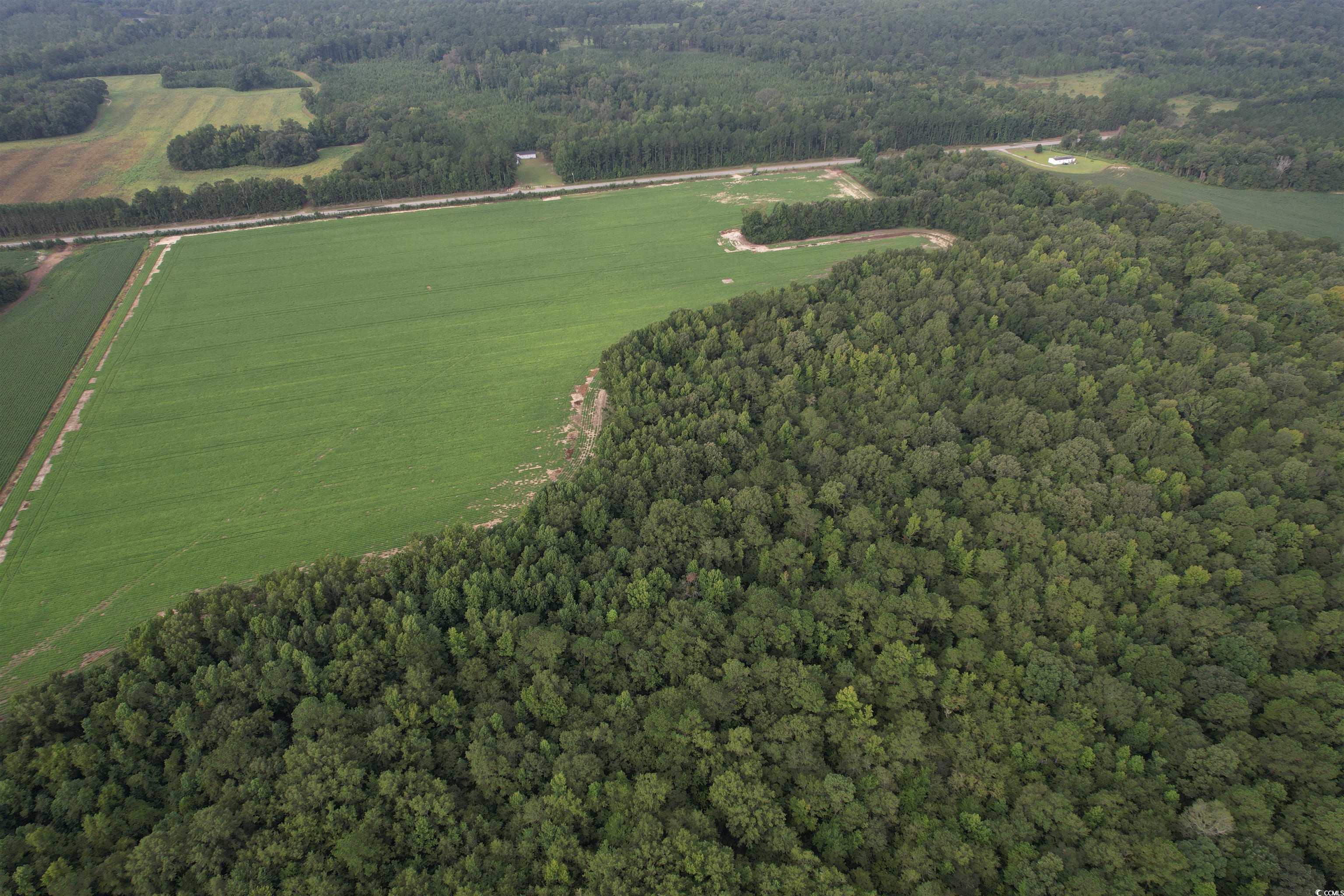 Tbd Mackey Road Greeleyville, SC 29056 - Photo 11 of 36 Gallery Image 11