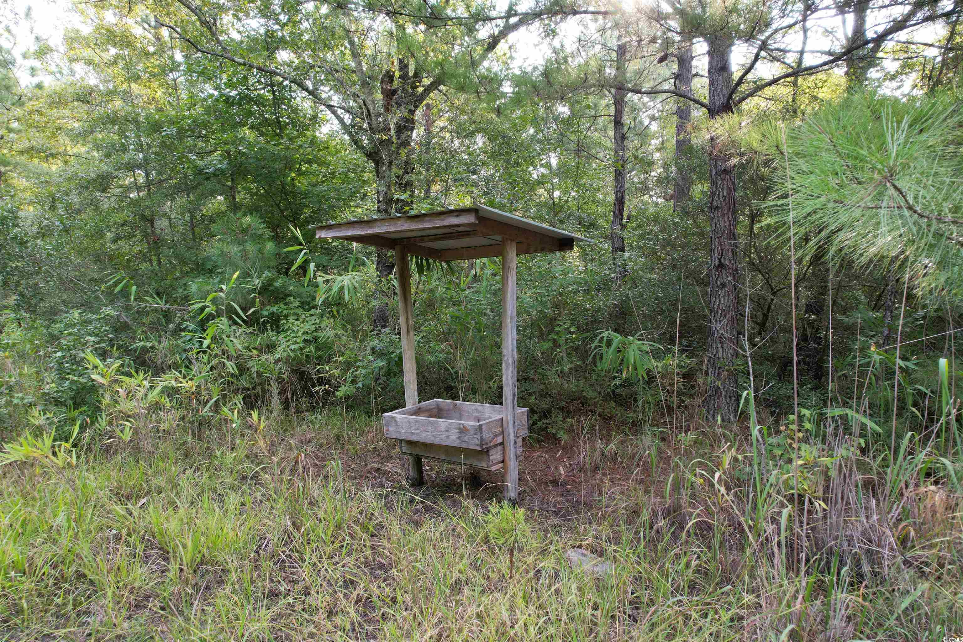 Tbd Mackey Road Greeleyville, SC 29056 - Photo 15 of 36 Gallery Image 15