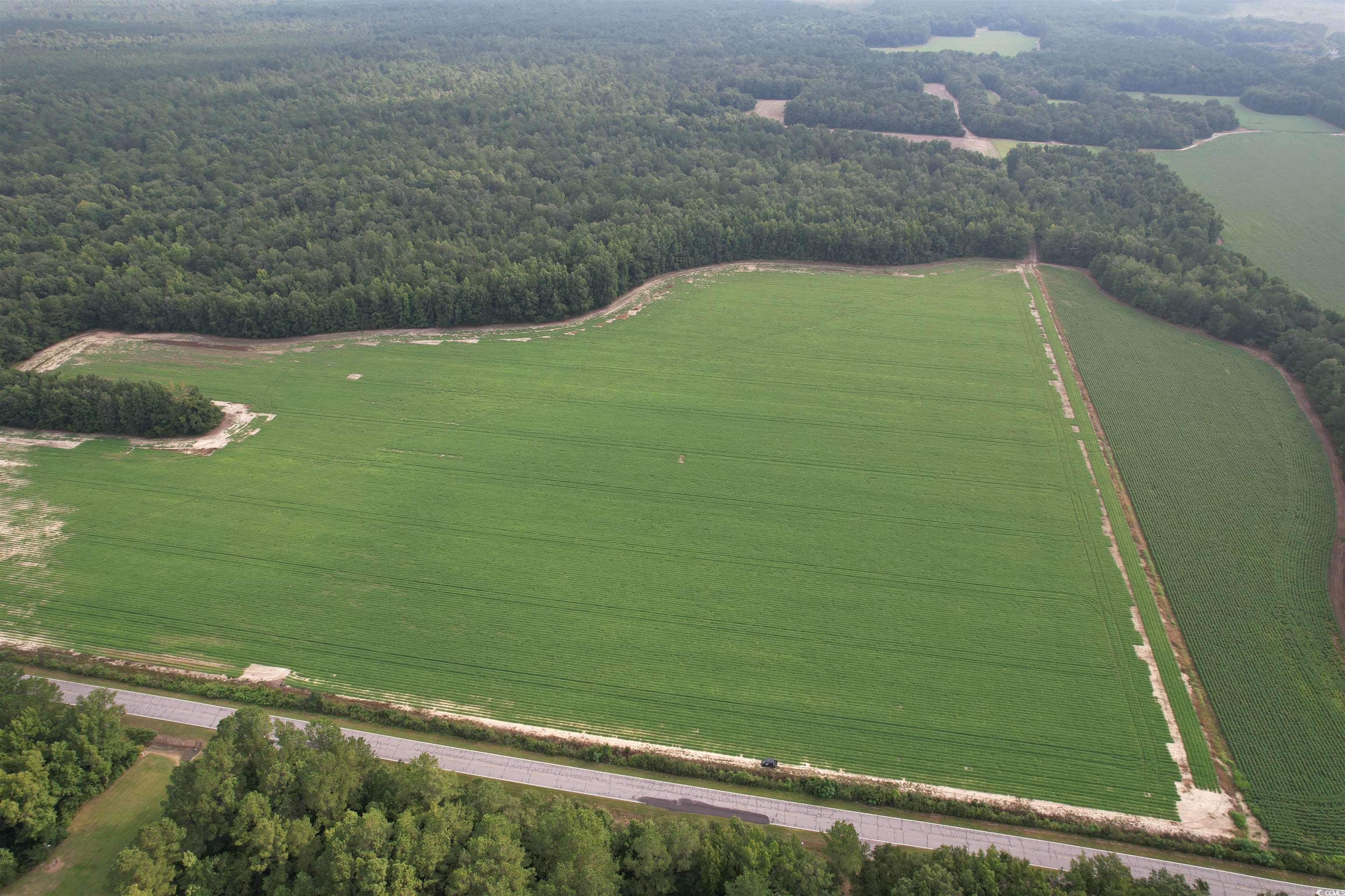 Tbd Mackey Road Greeleyville, SC 29056 - Photo 19 of 36 Gallery Image 19