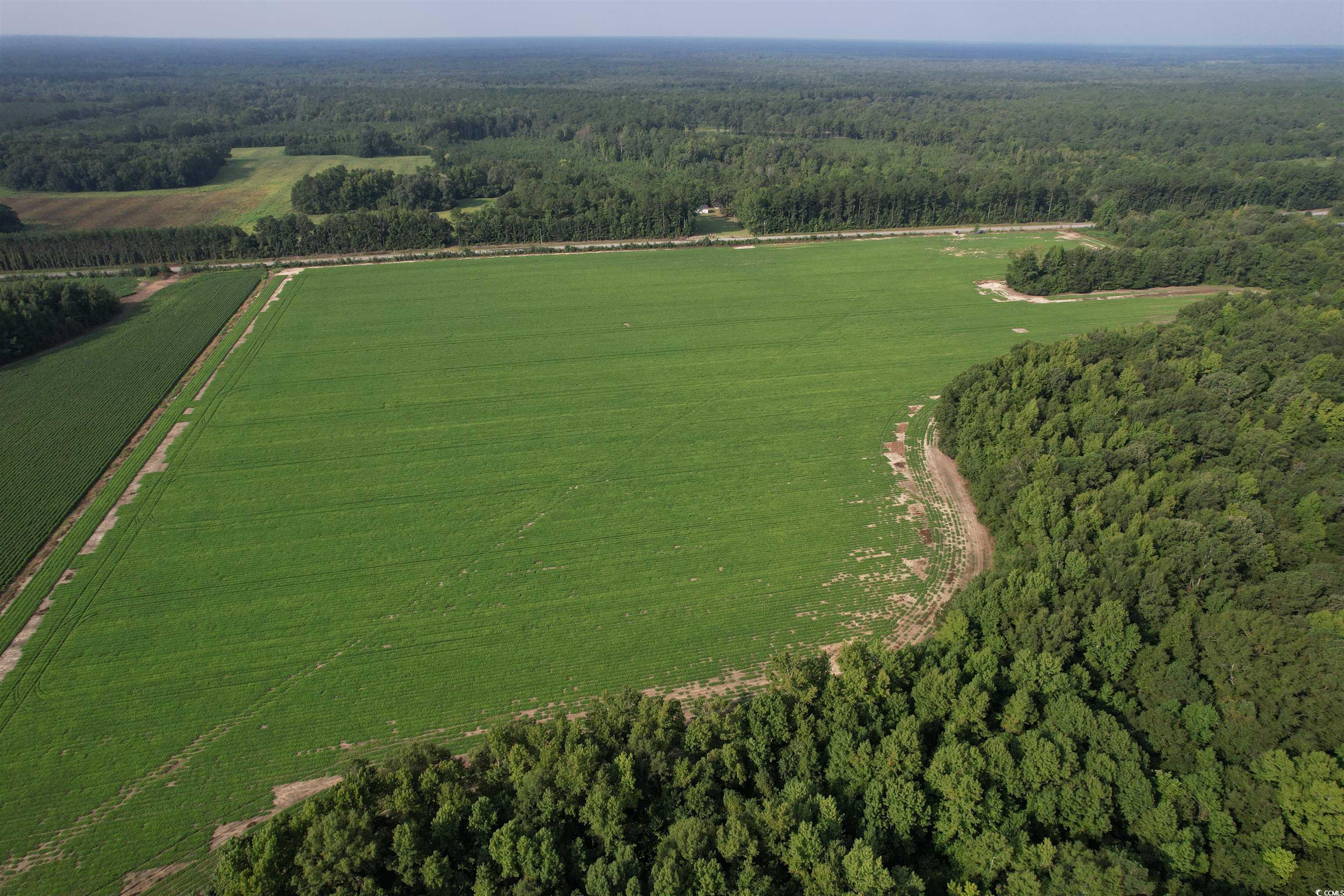 Tbd Mackey Road Greeleyville, SC 29056 - Photo 24 of 36 Gallery Image 24