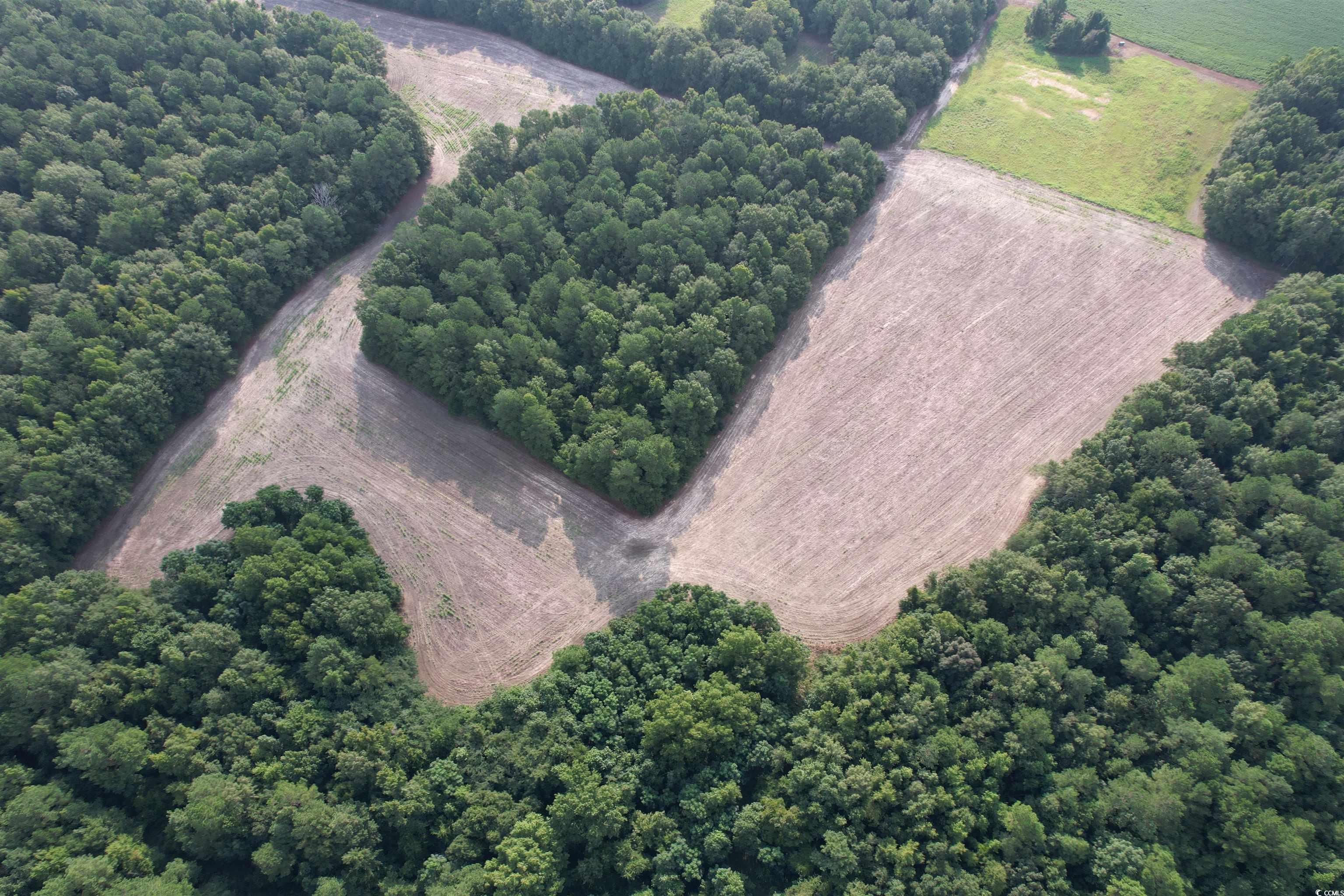 Tbd Mackey Road Greeleyville, SC 29056 - Photo 25 of 36 Gallery Image 25