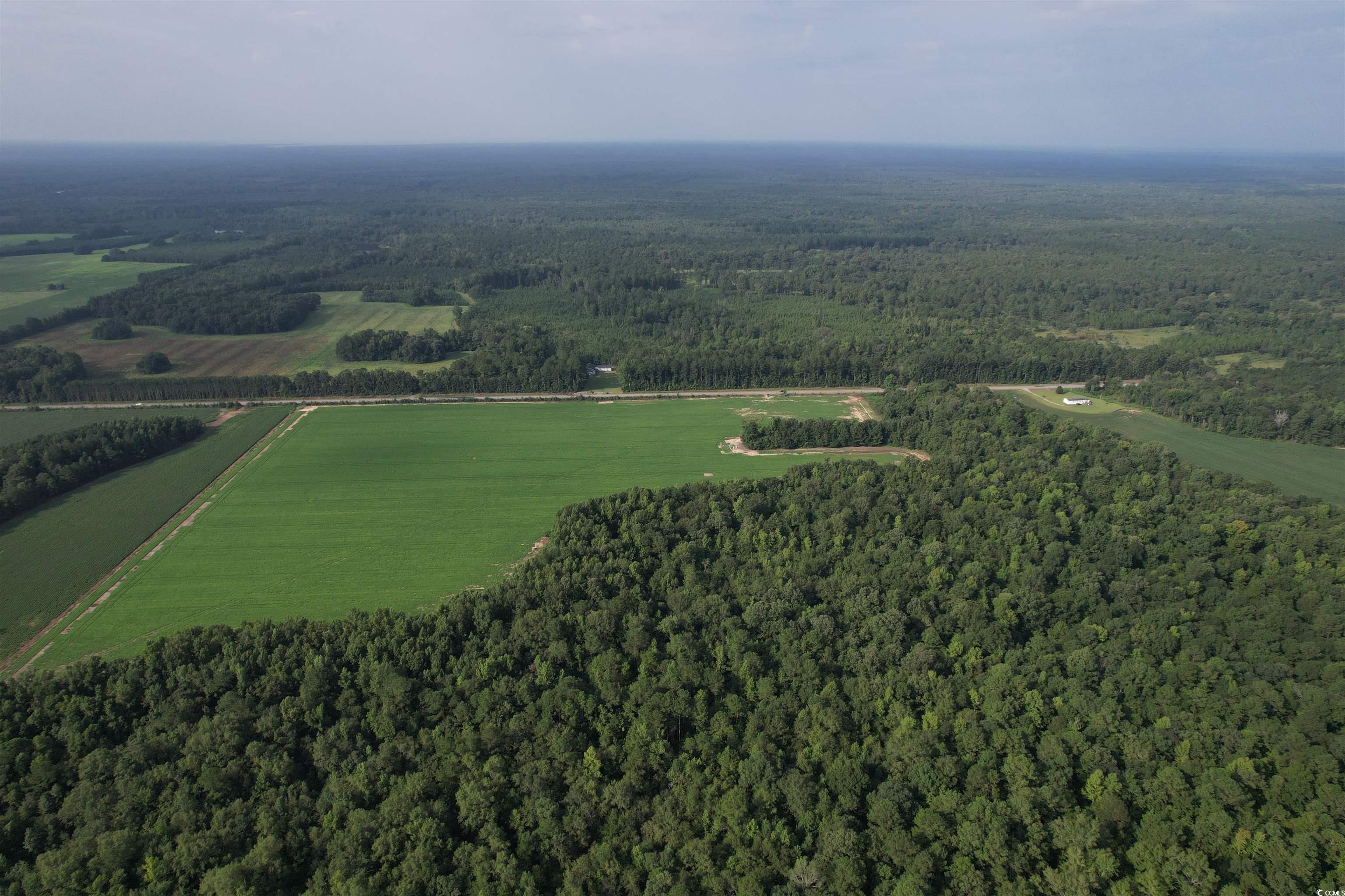 Tbd Mackey Road Greeleyville, SC 29056 - Photo 29 of 36 Gallery Image 29