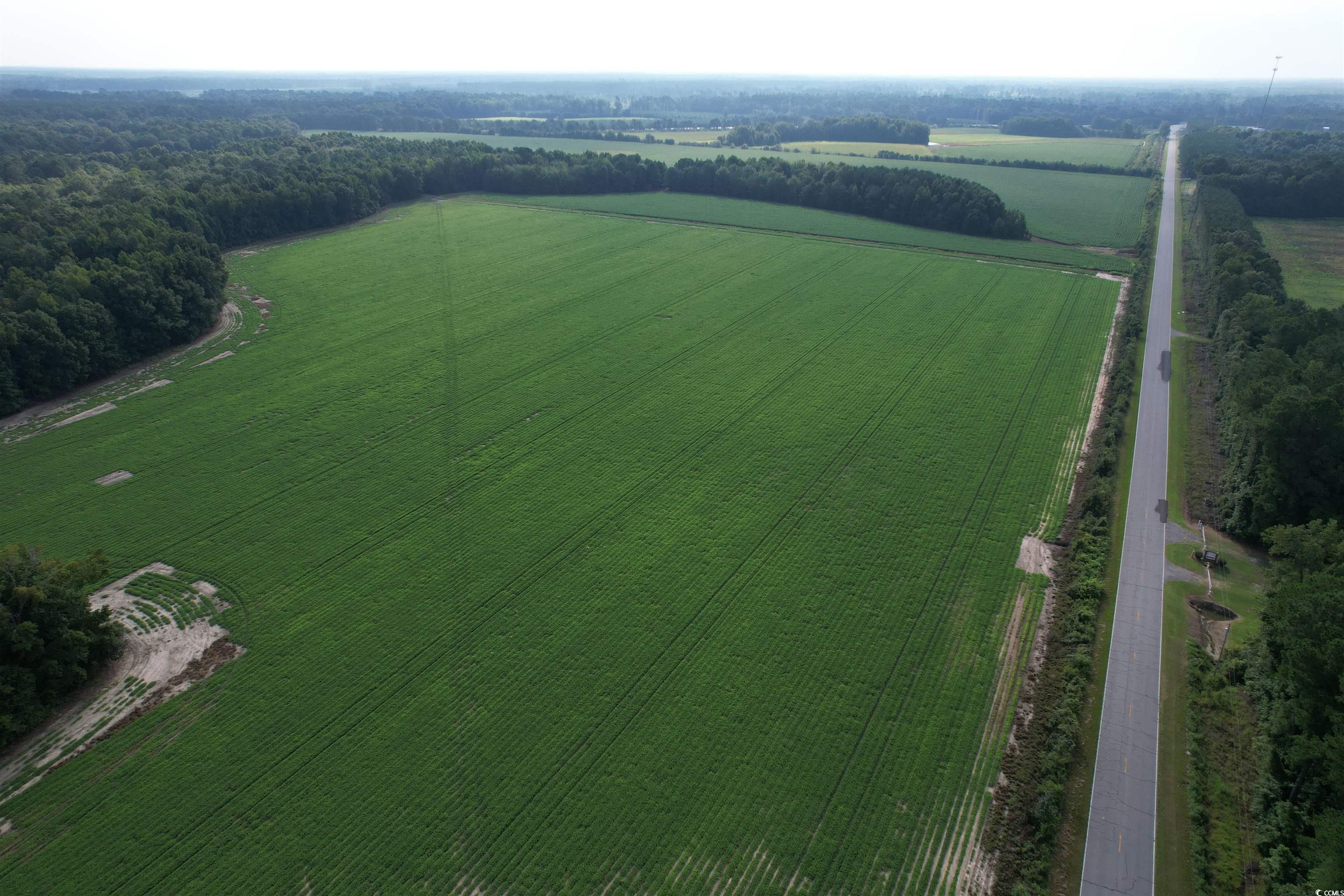 Tbd Mackey Road Greeleyville, SC 29056 - Photo 30 of 36 Gallery Image 30