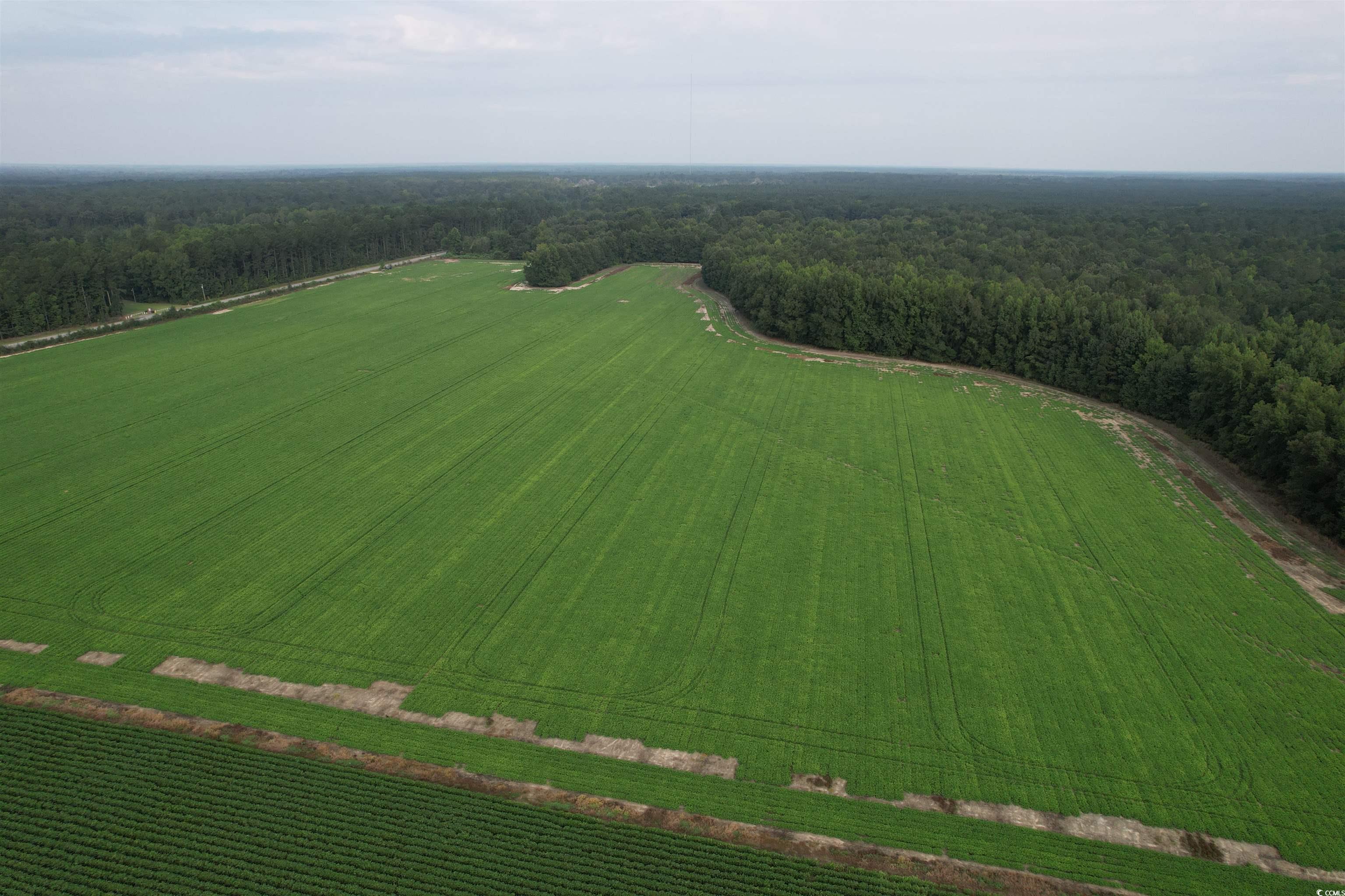 Tbd Mackey Road Greeleyville, SC 29056 - Photo 31 of 36 Gallery Image 31