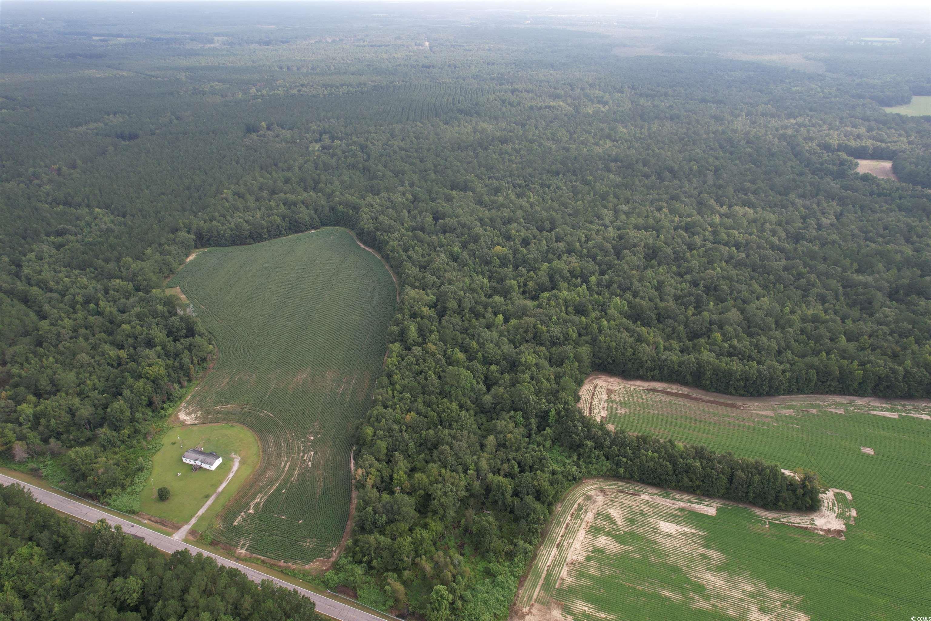 Tbd Mackey Road Greeleyville, SC 29056 - Photo 33 of 36 Gallery Image 33