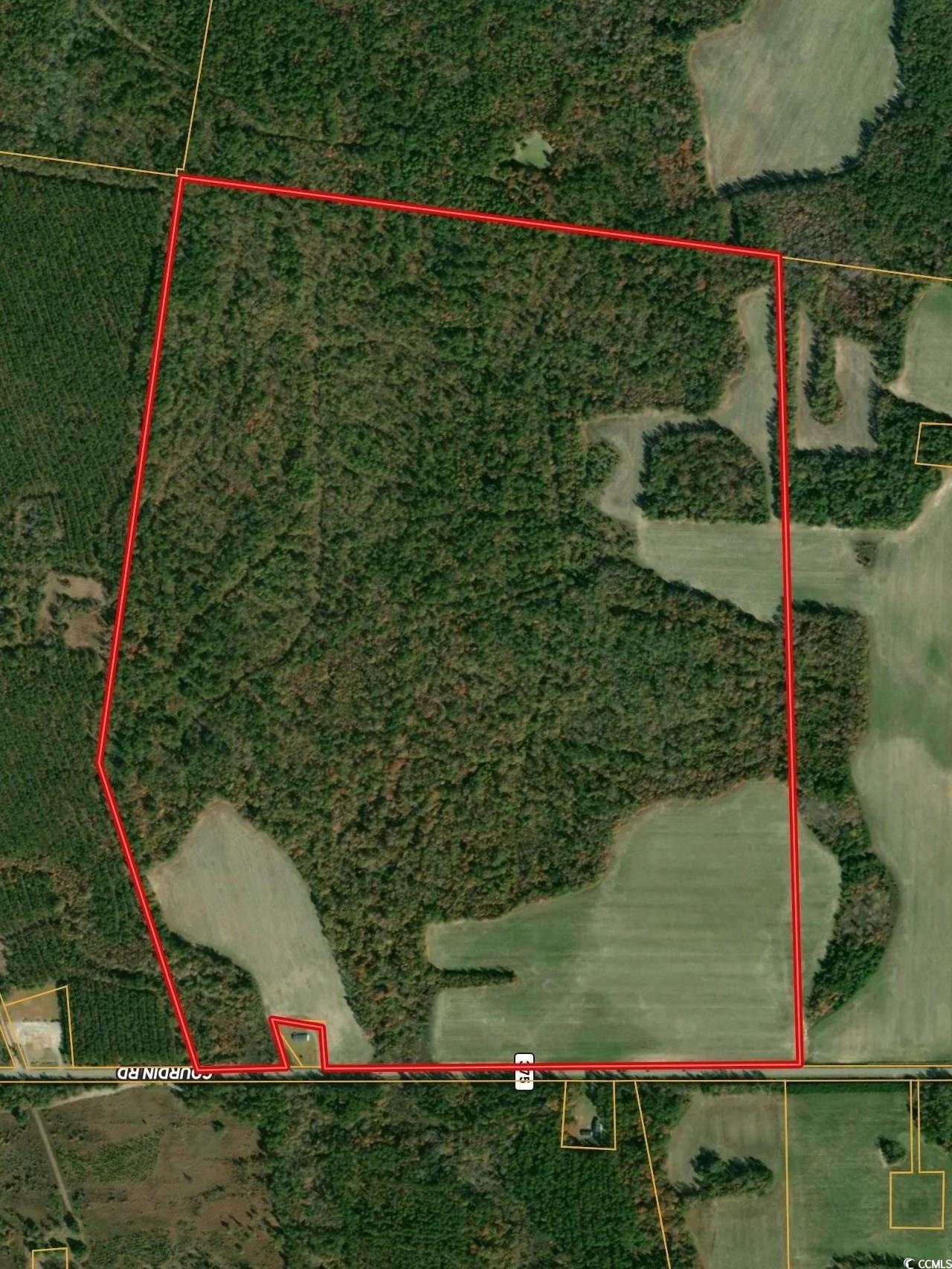 Tbd Mackey Road Greeleyville, SC 29056 - Photo 36 of 36 Gallery Image 36
