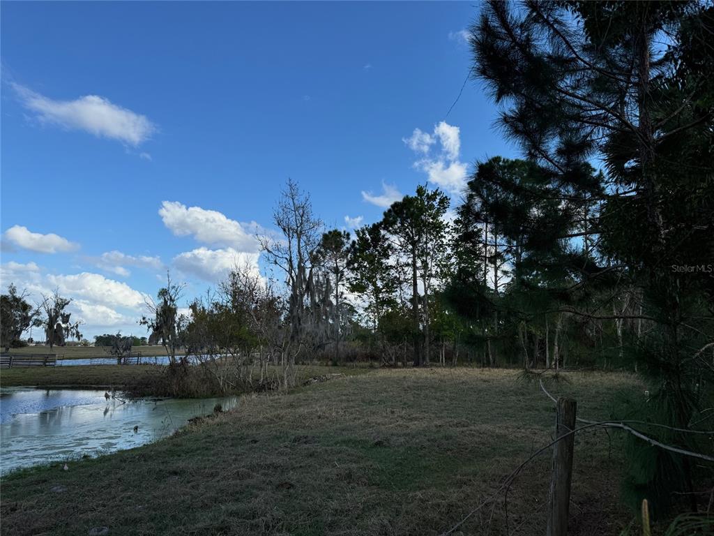 Cove Road Tavares, FL 32778 - Photo 9 of 16 a view of a yard with large trees