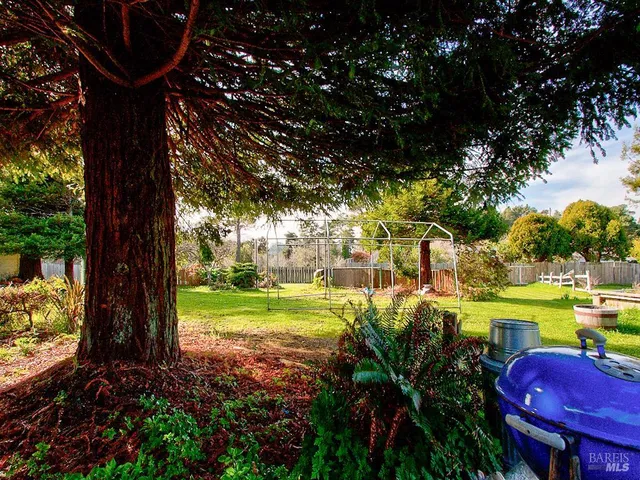 a view of a back yard of the house