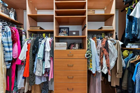 a view of a big yard with potted plants