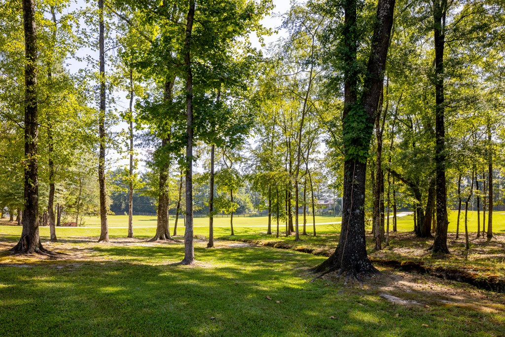 83 Lee Road 0640 Salem, AL 36874 - Photo 12 of 58