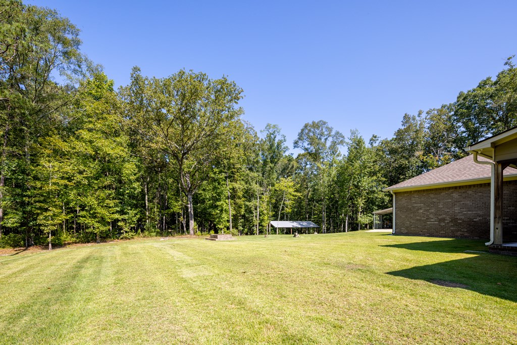 83 Lee Road 0640 Salem, AL 36874 - Photo 15 of 58