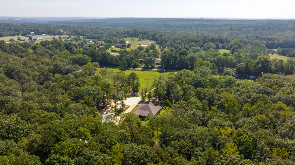 83 Lee Road 0640 Salem, AL 36874 - Photo 20 of 58