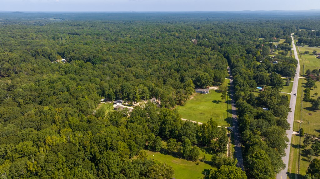 83 Lee Road 0640 Salem, AL 36874 - Photo 23 of 58