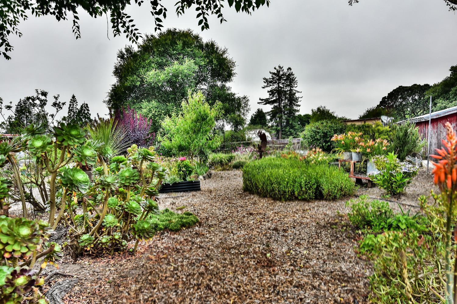 704 Bloomfield Road Sebastopol, CA 95472 - Photo 44 of 47