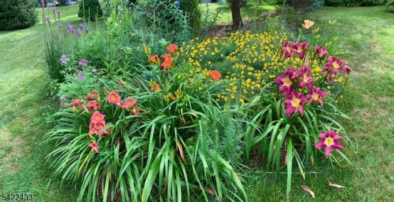 67 Madison Street Gillette, NJ 07933 - Photo 35 of 42