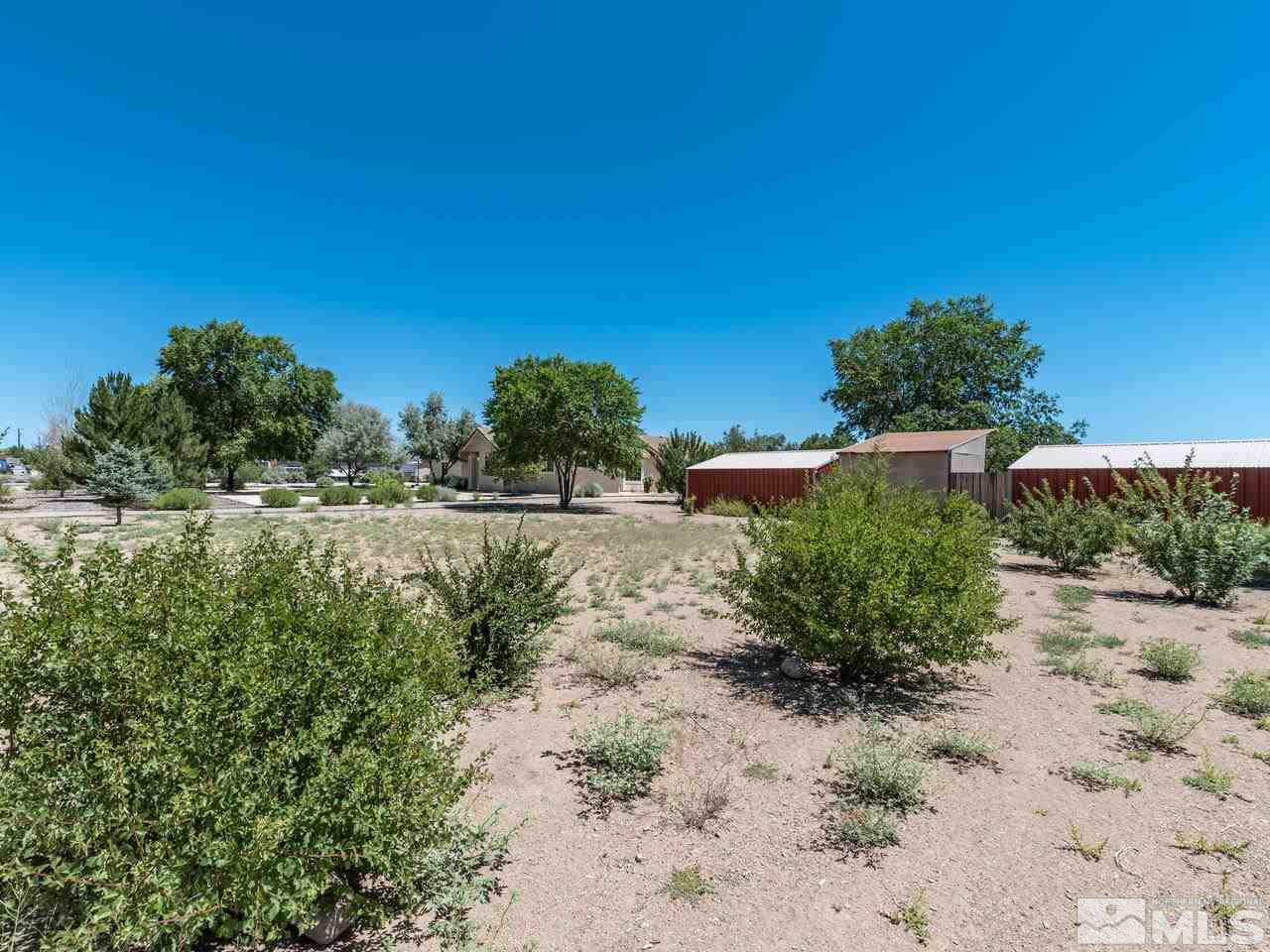 10570 Trailmaster Drive Reno, NV 89508 - Photo 22 of 25 a view of a yard with plants and a bench