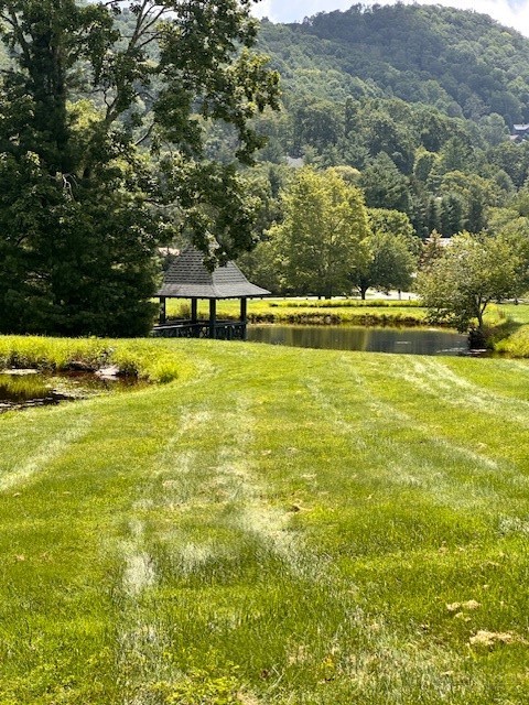 Lot 17 Farm Loop Road Banner Elk, NC 28604 - Photo 12 of 12