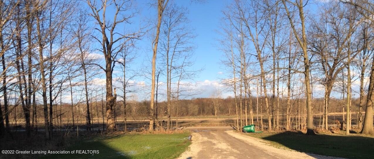 9690 Beardslee Road Perry, MI 48872 - Photo 28 of 31 Front yard view