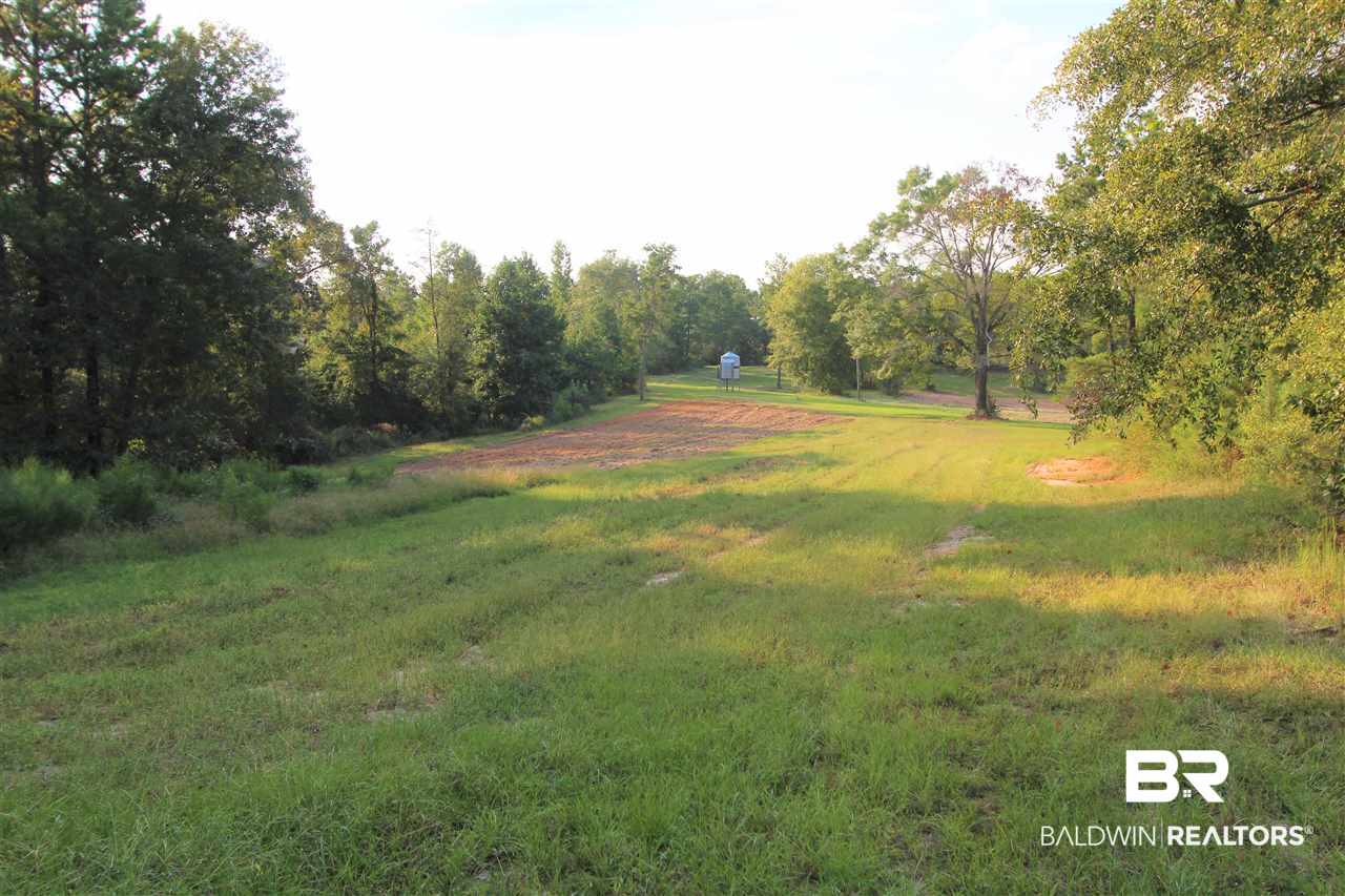 794 Dry Lake Road Luverne, AL 36049 - Photo 9 of 48 Dove Field