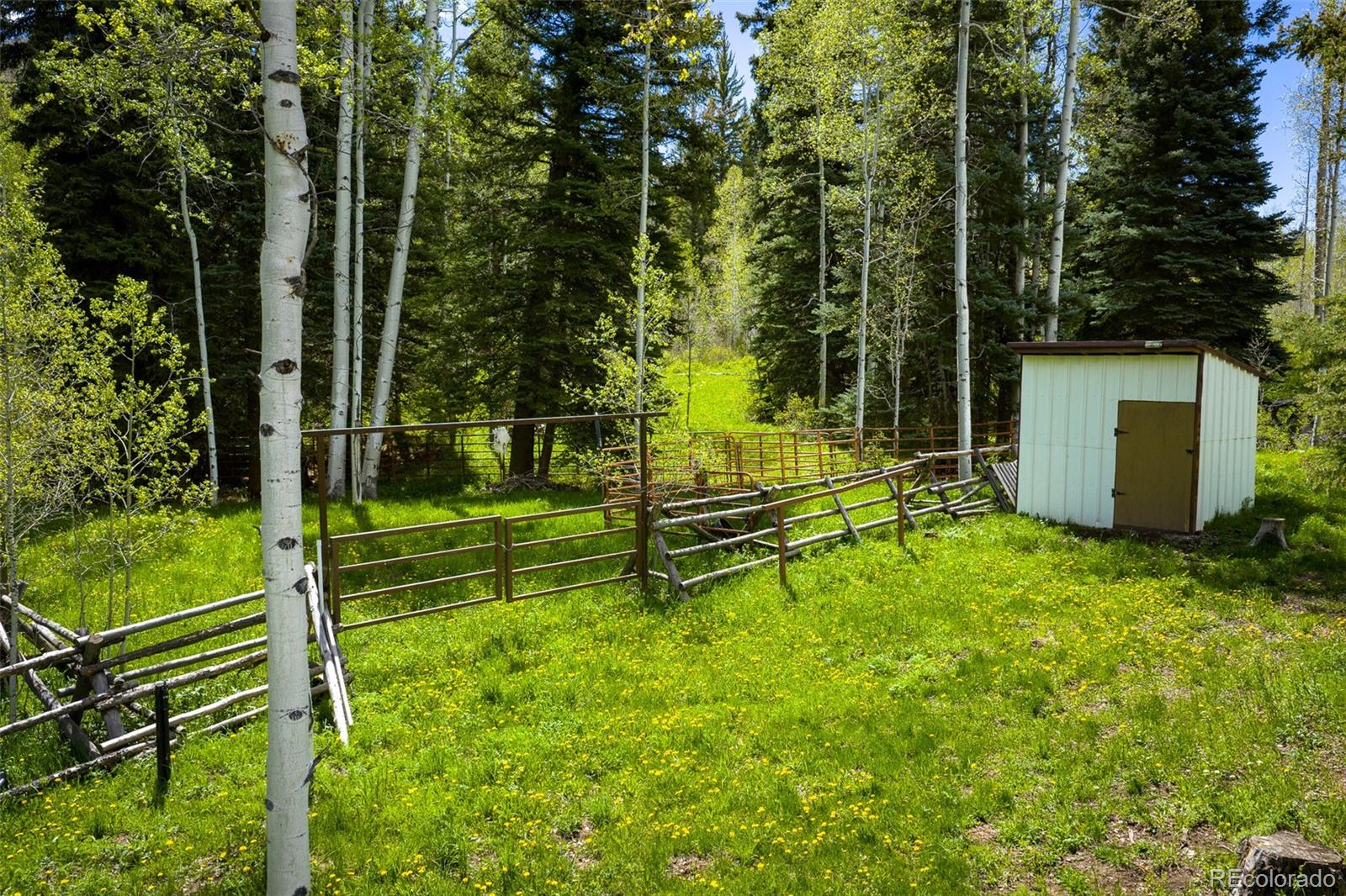 12123 County Road New Castle, CO 81647 - Photo 7 of 30