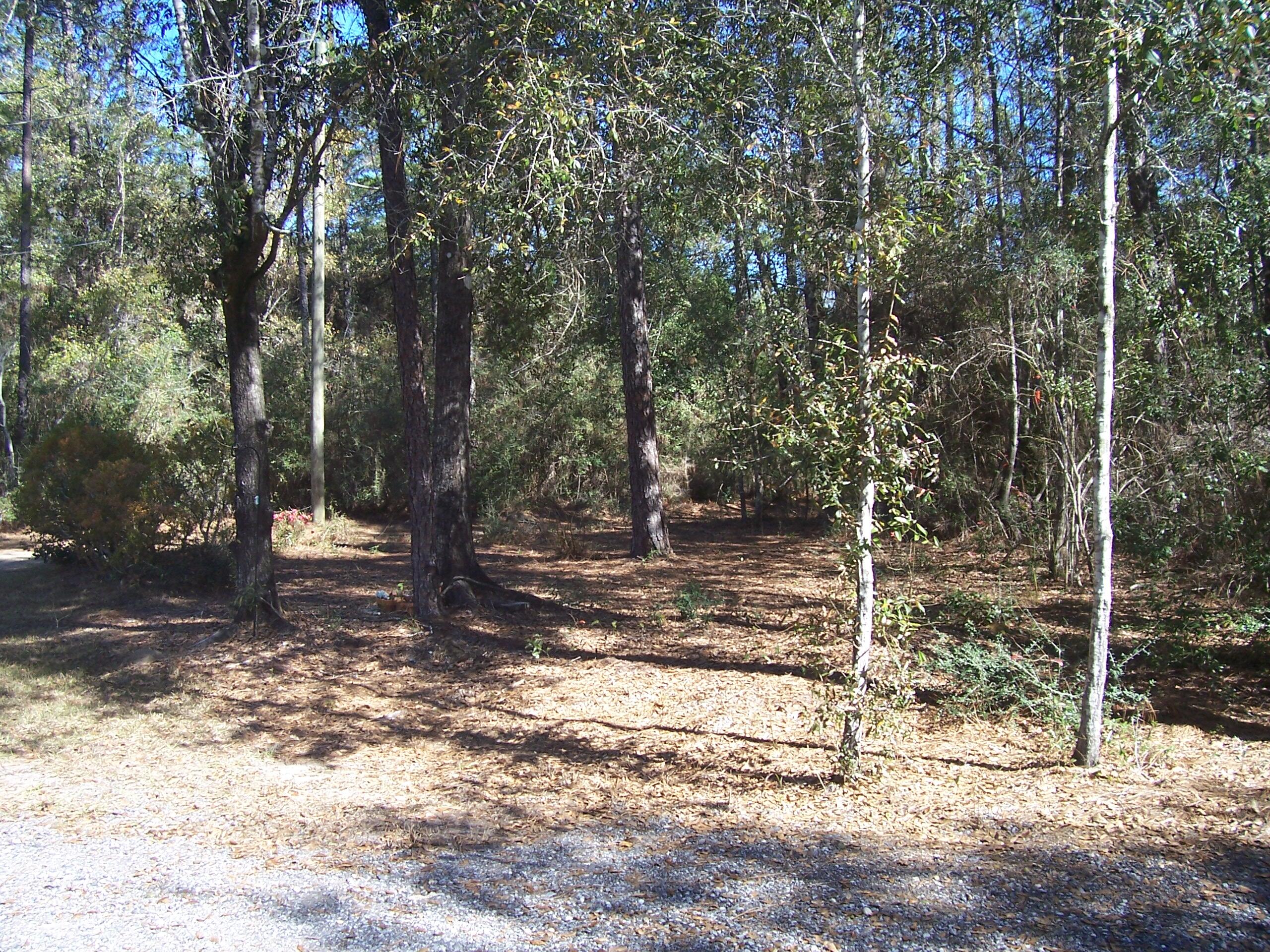 5139 Pine Berry Road Milton, FL 32583 - Photo 23 of 32 Gallery Image 23