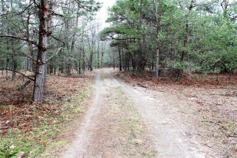 432 Koenig Road Free Soil, MI 49411 - Photo 1 of 18 Primary Photo