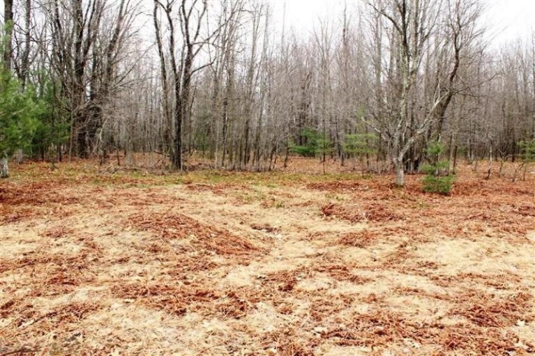 432 Koenig Road Free Soil, MI 49411 - Photo 13 of 18 Additional Photo