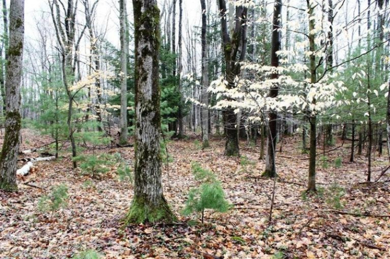 432 Koenig Road Free Soil, MI 49411 - Photo 2 of 18 Additional Photo