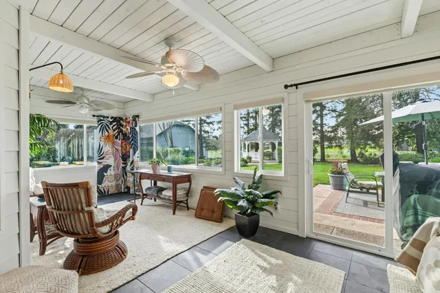 a view of a park that has a large trees