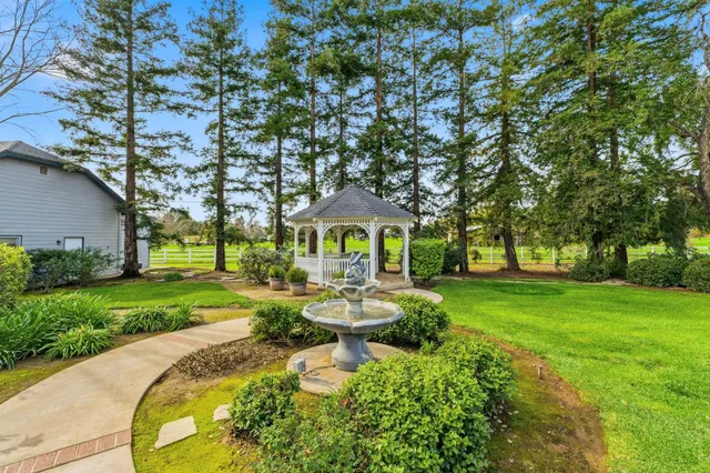 a view of a house with a tree in front of it