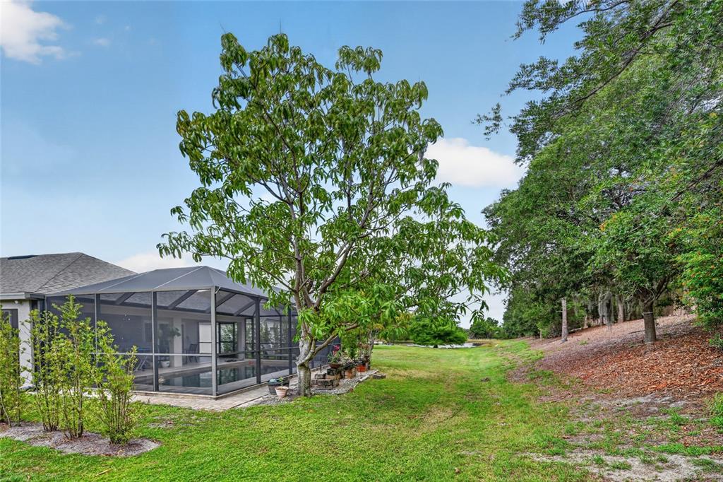 15107 Skip Jack Loop Bradenton, FL 34202 - Photo 47 of 47
