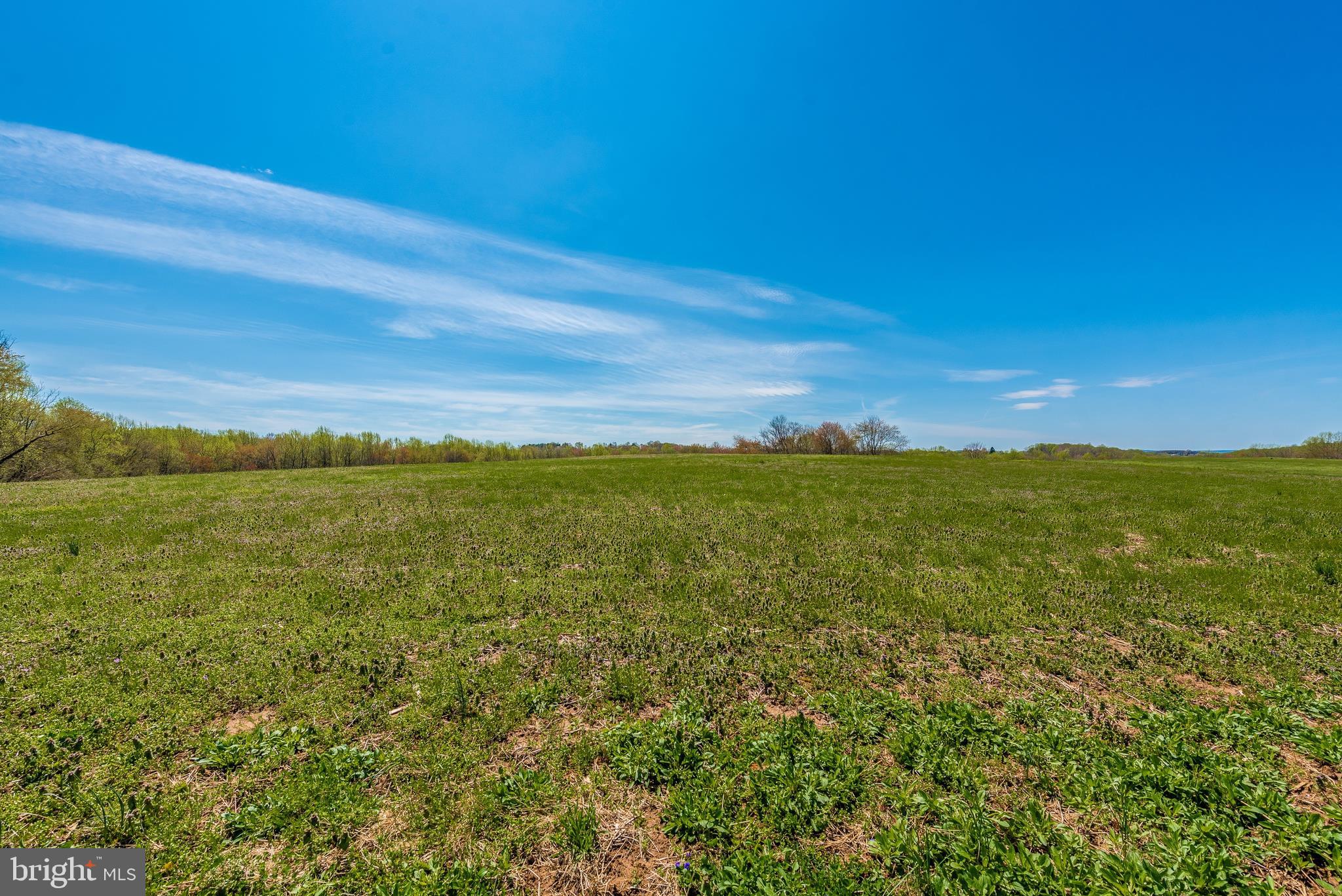 27455 Clarksburg Road Damascus, MD 20872 - Photo 55 of 57 pasture
