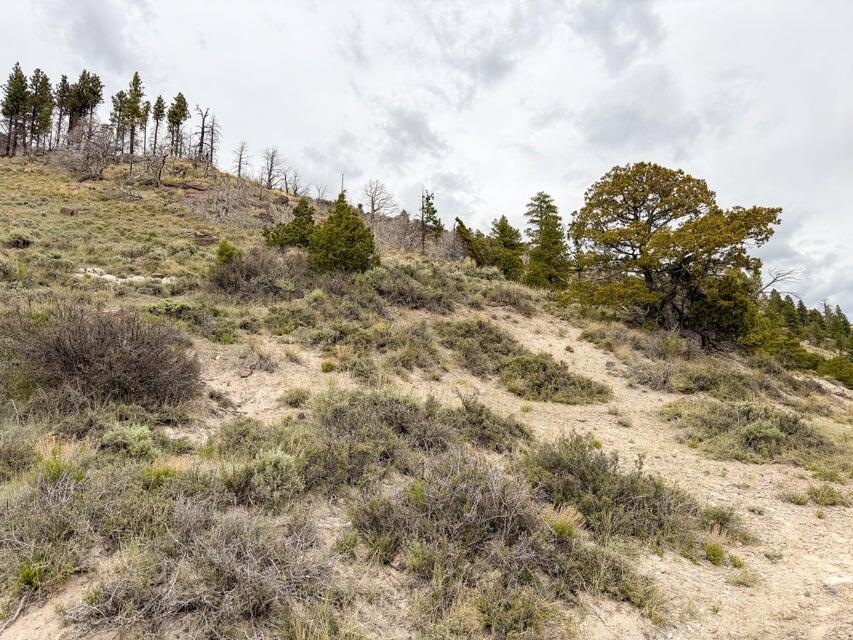 69 Forest Garden Hatch, UT 84735 - Photo 5 of 20 Lot 69 Forest Garden