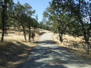 Oak Run Road Oak Run, CA 96069 - Photo 7 of 12 20201203191314147965000000