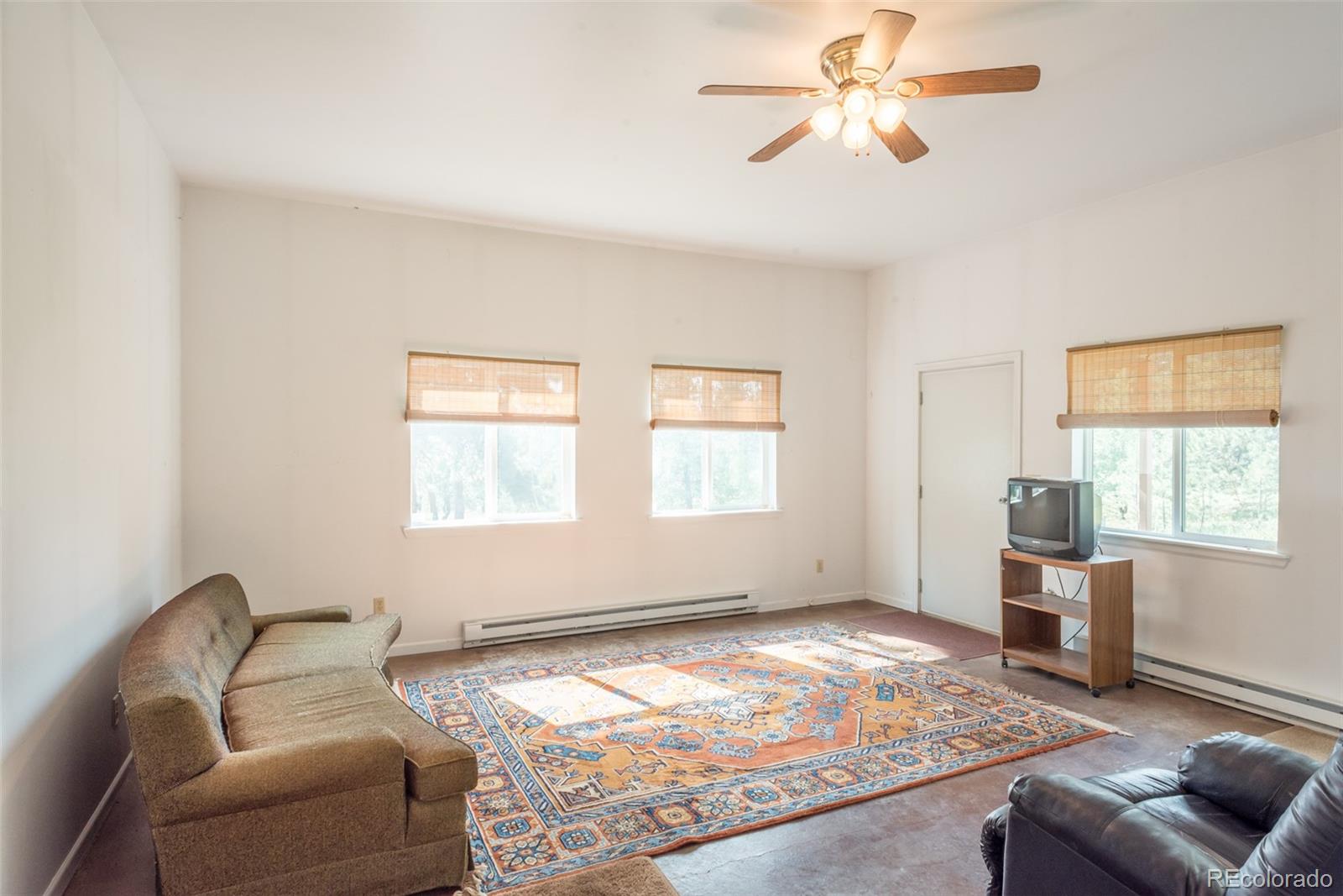 4403 Campfire Road Hartsel, CO 80449 - Photo 15 of 40 a living room with furniture and window